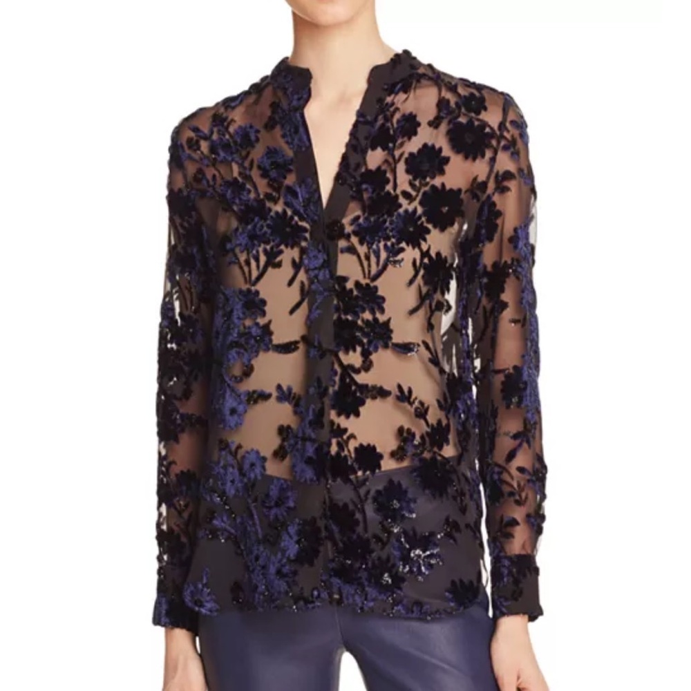 Alice + Olivia Belle Sheer Velvet Embroidered Silk Chiffon Top - Small
